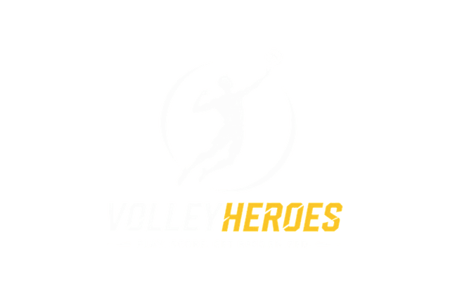 Volley Heroes
